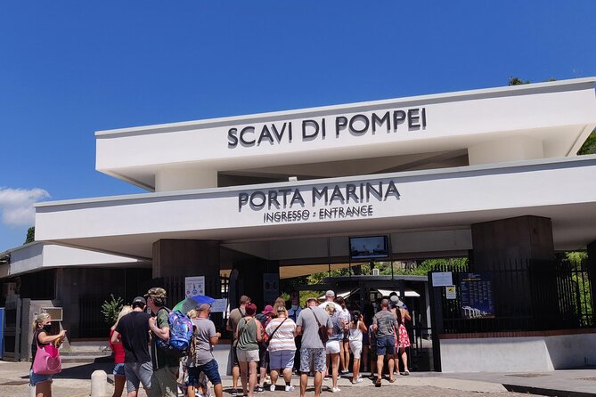 Private Tour Pompeii and Herculaneum - Private Mercedes van, pickup options, and a realistic 7-hour day