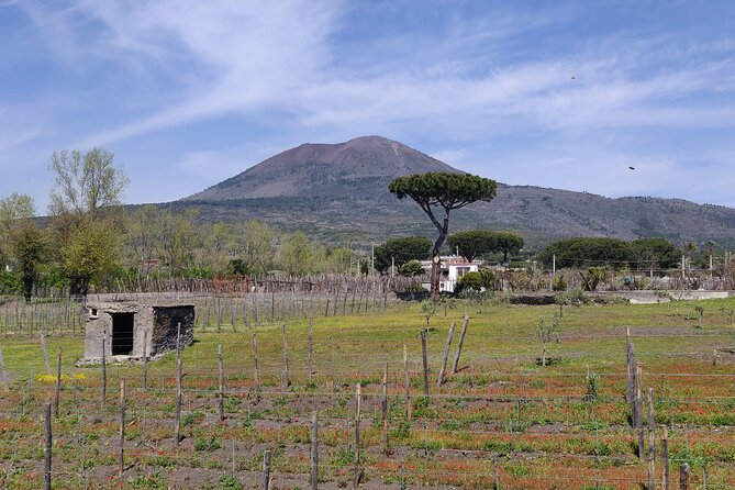 Private Tour Pompeii and Herculaneum - Pompeii Archaeological Park: what 2 hours can accomplish