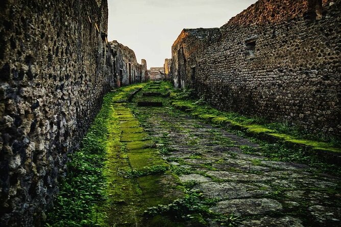 Private Tour Pompeii and Sorrento from Naples - Final Verdict: Should You Book This Private Pompeii and Sorrento Trip?