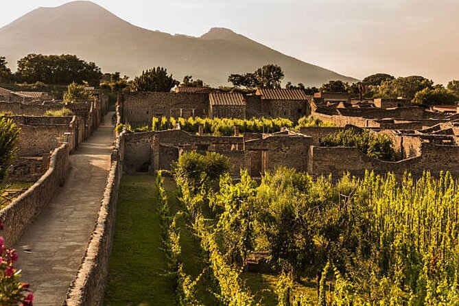 Private Tour Pompeii Excavations & Wine Tasting & Lunch - Lunch, Timing, and the Real-World 8 Hours