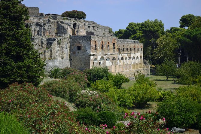 Private Tour: Pompeii Half-Day Trip from Naples - House of Vetti, Thermal Baths, and the Lupanare Brothel