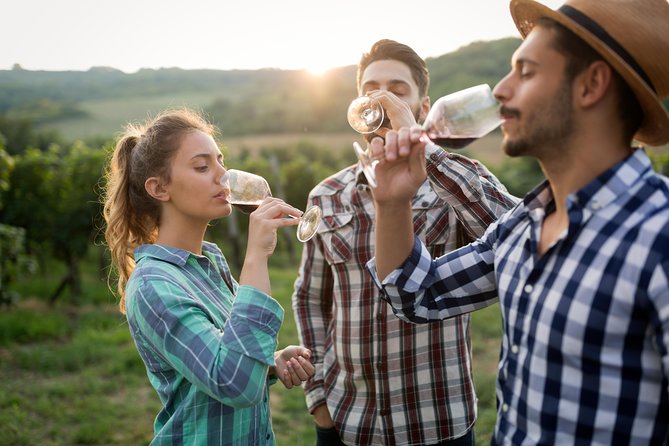 Private Tour: Pompeii & Wine Tasting at the Slopes of Mt Vesuvius - Pompeii landmarks that make the ruins click