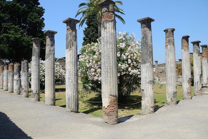 Private Tour Rome to Pompeii in private vehicle or fast train - Who should book this tour, and who should reconsider