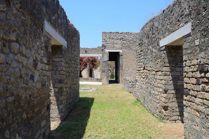 Private Tour Rome to Pompeii in private vehicle or fast train - Practical tips for your day (so the timing feels painless)