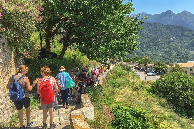 Private Tour: The Path of the Lemons - Path of the Lemons from Maiori: the big idea