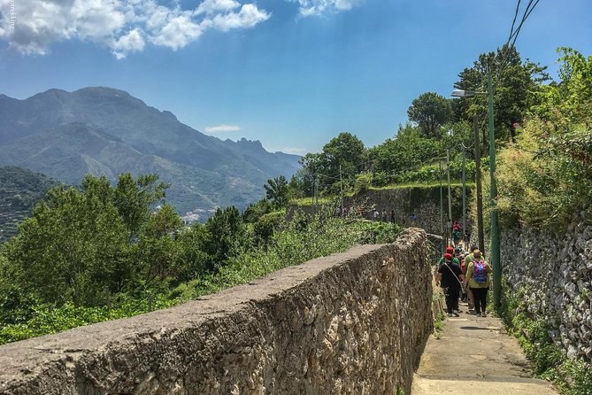 Private Tour: The Path of the Lemons - The secret lemon garden visit: why it’s more than a photo stop
