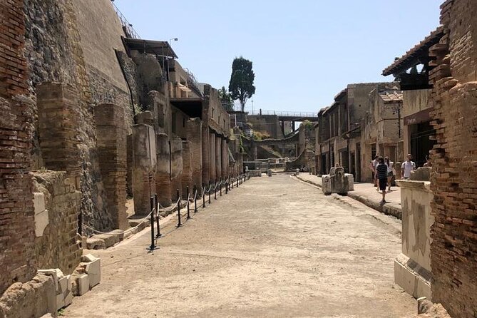 Private Tour to Pompei and Herculaneum: Skip-the-line Tickets - Should you book it?