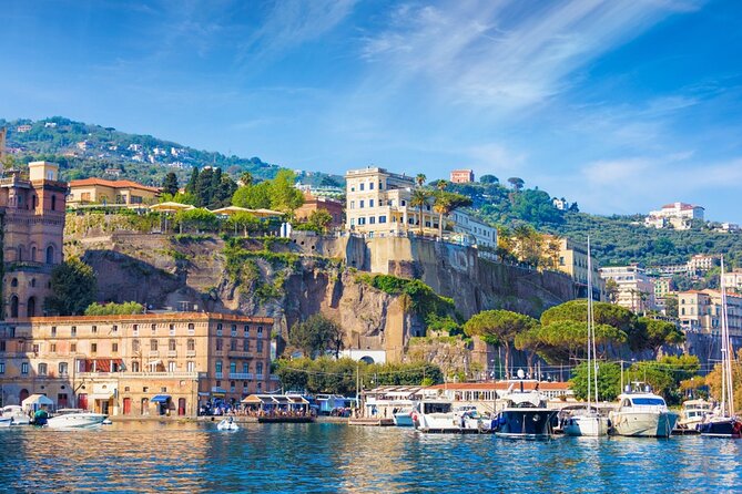Private Tour to Pompei Sorrento and Positano with English speaking Driver/Guide - Private van from Naples: where comfort meets practical logistics
