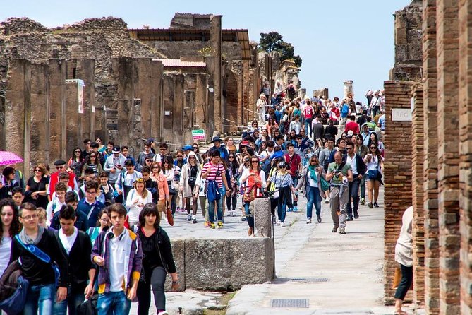 Private tour to Pompeii Herculaneum and Vesuvius - Vesuvius tickets are online only, and they sell fast