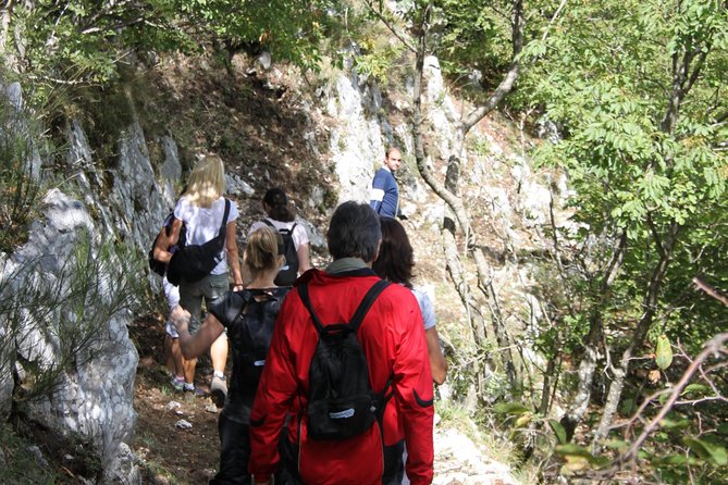 Private Tour: Truffle-Hunting Experience from Naples with Lunch - Naples to the Monti Picentini Mountains: the drive that sets the tone