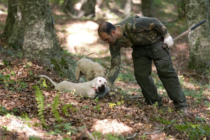 Private Tour: Truffle-Hunting Experience from Naples with Lunch - Volturara Irpina and the hunter-dog team you came for