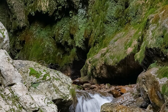 Private Tour Walking in Ferriere Valley Nature Reserve Amalfi - Price and value: what $156.21 buys you (and what it doesn’t)