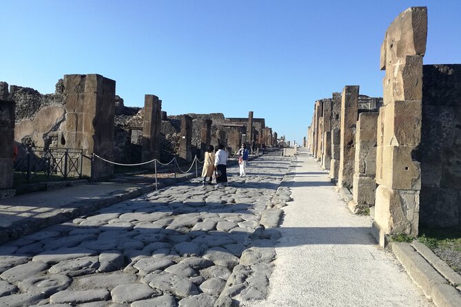 Private Tour with Official Guide through the wonders of Pompeii. - Meeting at Via Villa dei Misteri and keeping the day smooth