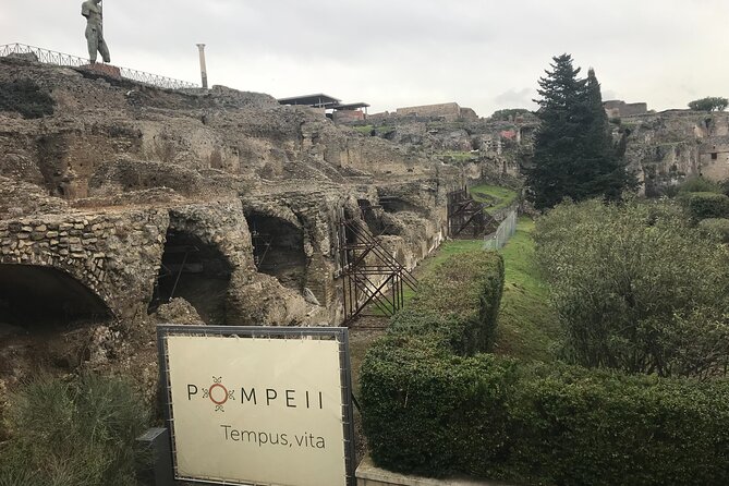 Private transfer from Naples to Pompeii or viceversa - Airport pickup in Naples: arrivals area meet-up
