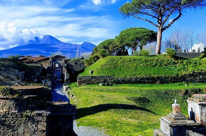 Private transfer from Naples to Pompeii or viceversa - Where this transfer fits best in your day