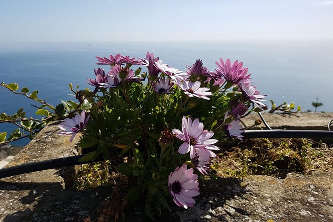 Private Transfer from Naples to Positano - Naples to Positano without the headache