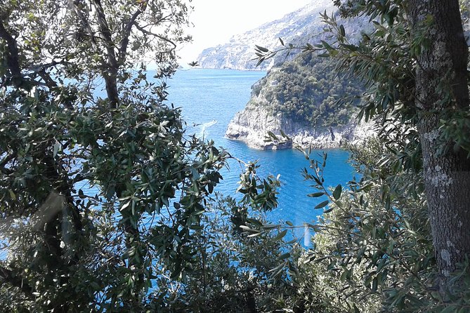 Private Transfer From Naples to Ravello/Sorrento stop at Pompeii - The Private Minivan: Comfort, Small Group, and Driver-Focused Service