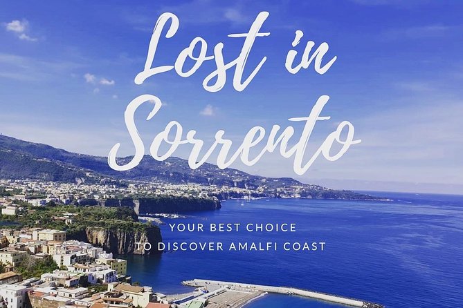 Private transfer from Naples to Sorrento with stop in Pompeii - Price and value: what $442.15 per group really means