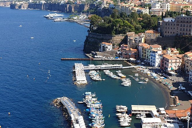 Private Transfer Naples to Sorrento or viceversa - The Driver Experience: English, Flexibility, and Local Flavor