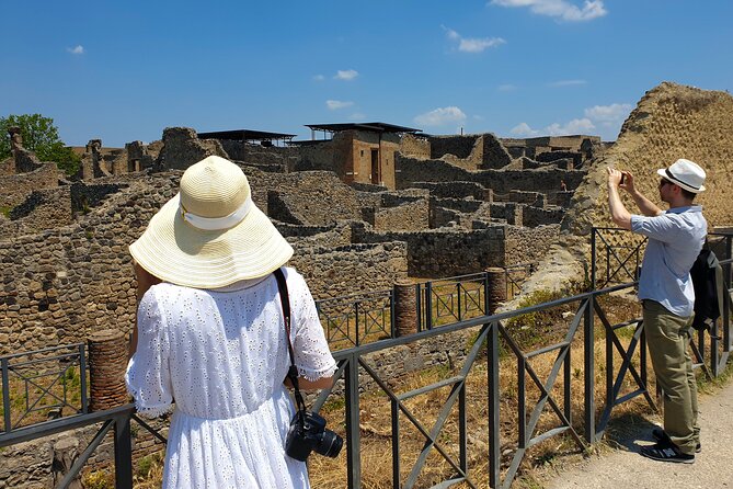 Private Transfer: Naples to Sorrento with Pompeii Guided Tour - Should you book this Pompeii transfer?