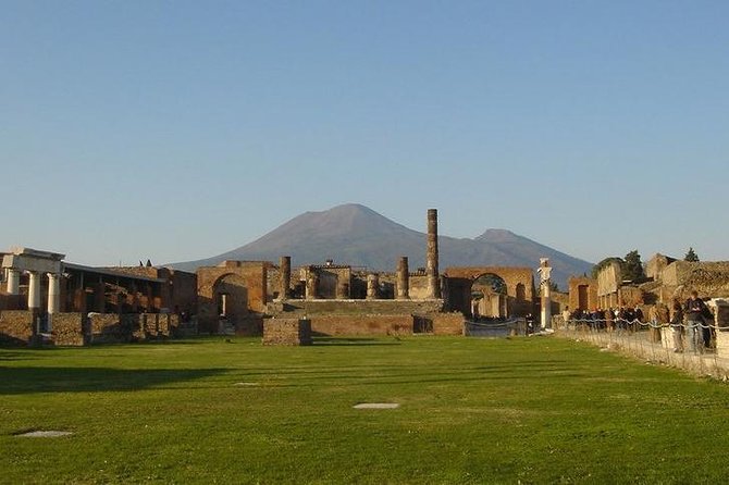 Private VIP tour to Pompeii Ruins with a Private Guide - Naples to Pompeii by private car: how the transfer sets the tone