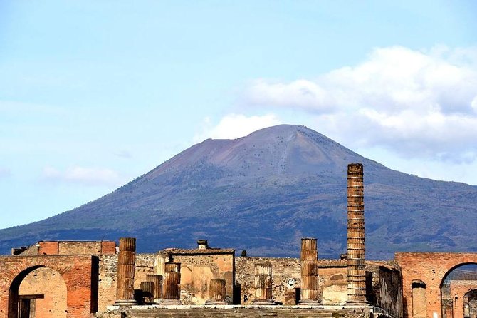 Private VIP tour to Pompeii Ruins with a Private Guide - Who this Pompeii VIP tour is best for