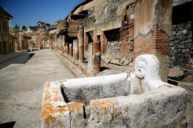 Private Walking Tour through the Historical City of Herculaneum - Key takeaways before you go