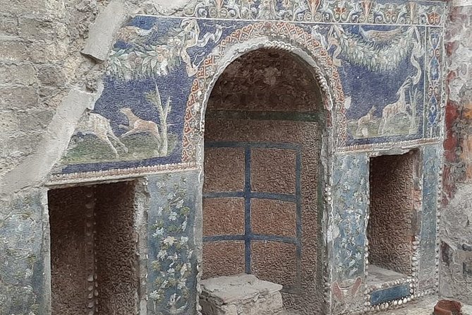 Private Walking Tour through the Historical City of Herculaneum - Herculaneum vs Pompeii: the context your guide helps you keep