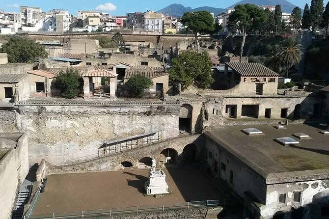 Private Walking Tour through the Historical City of Herculaneum - What to bring and how to handle comfort in the park