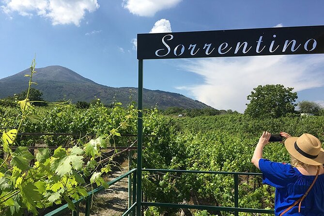 Private Wine Tour,lunch,8 wines, dedicated sommelier and trasport - A half-day private wine break on Vesuvius
