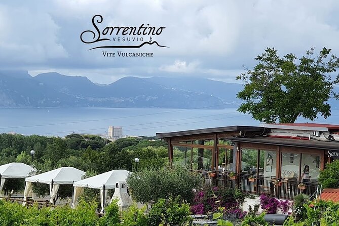 Private Wine Tour,lunch,8 wines, dedicated sommelier and trasport - 8 wines: how to taste smarter without getting overwhelmed
