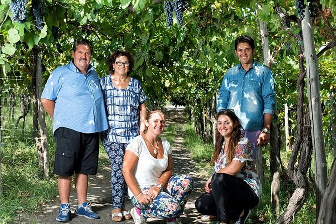 Private Wine Tour,lunch,8 wines, dedicated sommelier and trasport - Lunch at the Sorrentino farmhouse: farm-to-table with pairing guidance