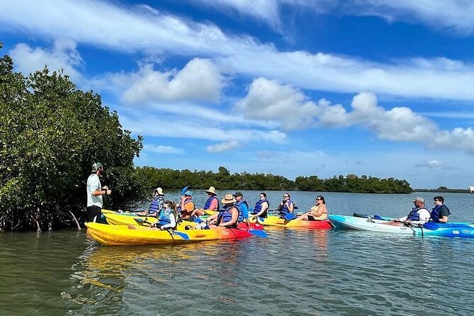 Rookery Bay Kayak Adventure – Mangroves, Wildlife & Photos - Single vs tandem kayaks: choosing the setup that keeps the fun