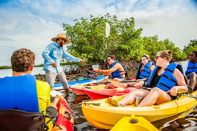 Rookery Bay Kayak Adventure – Mangroves, Wildlife & Photos - Price and what you’re paying for (and what’s extra)