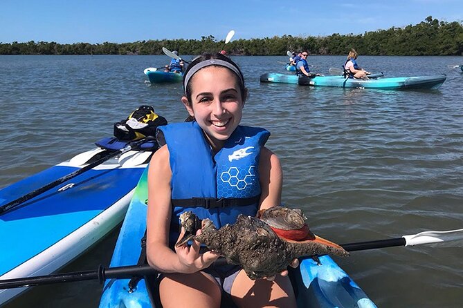 Rookery Bay Kayak Adventure – Mangroves, Wildlife & Photos - Weather, water conditions, and small comfort tips