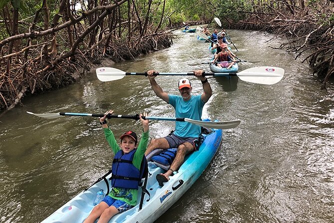 Rookery Bay Kayak Adventure – Mangroves, Wildlife & Photos - The 2-hour mangrove route: tunnels, tidal channels, and wildlife odds