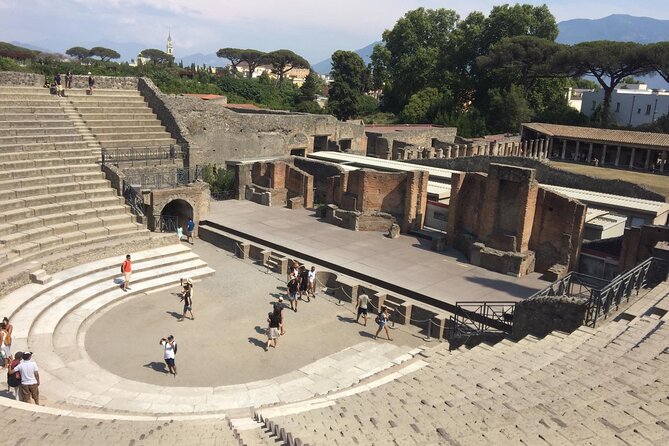 Round-Trip Shuttle Transfer from Naples to Pompeii - Comfort and driver professionalism: usually good, with one real-world caveat
