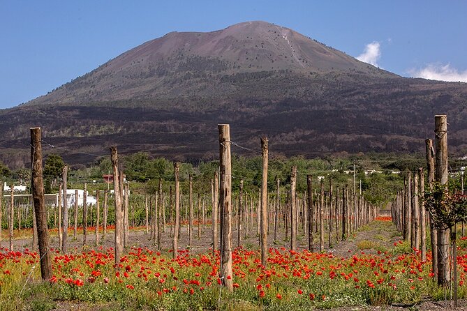 Scenic Wine Tasting & Lunch on the Slopes of Vesuvius from Naples - Staff names that come up for a reason