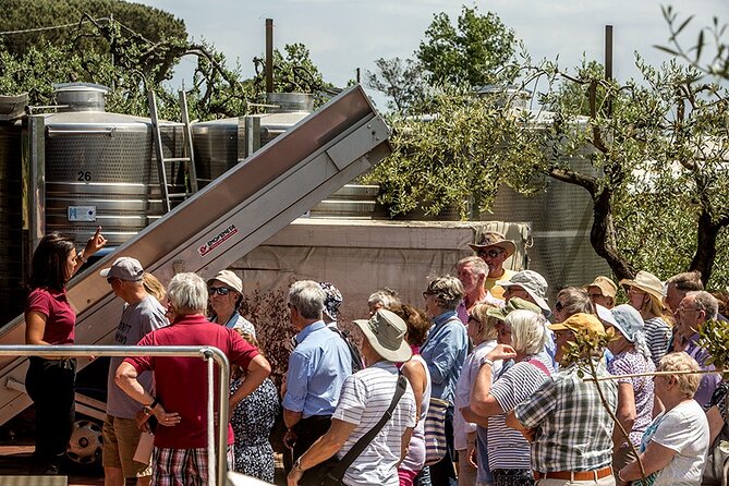 Scenic Wine Tasting & Lunch on the Slopes of Vesuvius from Naples - Who should book this Vesuvius wine tasting (and who should skip it)