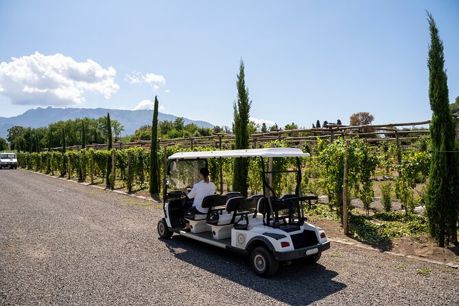 Seafood Lunch & Wine Tasting with Scenic Golf Cart Tour - Key things I’d highlight before you go