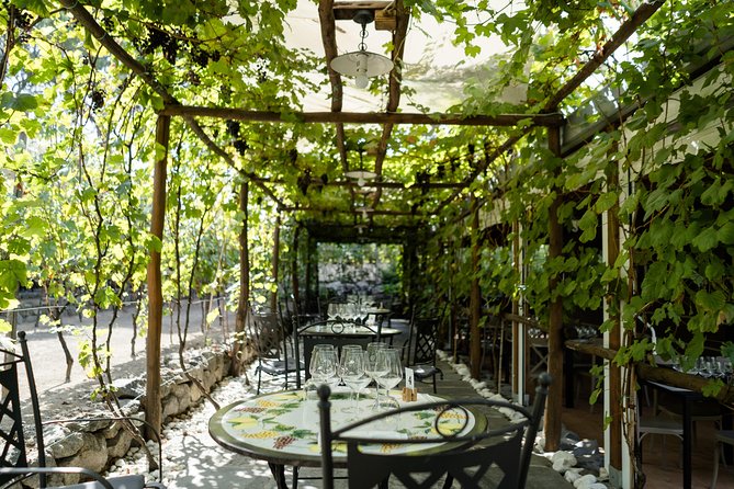 Seafood Lunch & Wine Tasting with Scenic Golf Cart Tour - Value check: is $96.12 worth two hours in Pompeii?