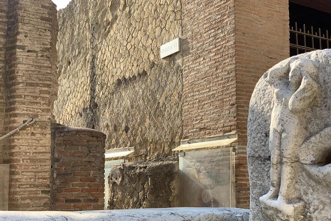 Secret Herculaneum: The Hidden Treasure of Ancient Roman Civilization - Who should book this Herculaneum walk