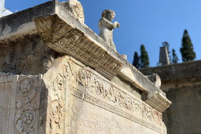 Secret Herculaneum: The Hidden Treasure of Ancient Roman Civilization - Should you book Secret Herculaneum?