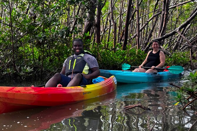 Self Guided EcoTour: Clear/Standard Kayaks -Bonita Springs - Key Things to Know Before You Paddle