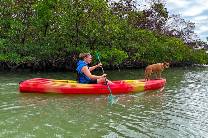 Self Guided EcoTour: Clear/Standard Kayaks -Bonita Springs - Beach Time, Shelling, and Fishing Spots: Why the Map Adds Value