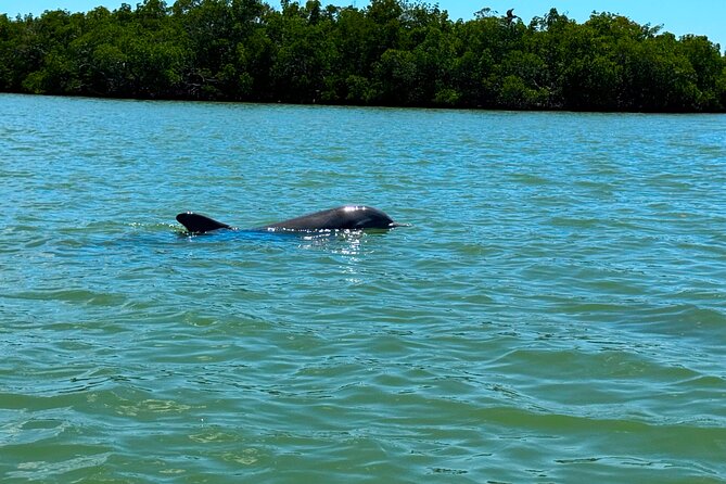 Self Guided EcoTour: Clear/Standard Kayaks -Bonita Springs - Finding the Launch Spot and Avoiding Setup Friction