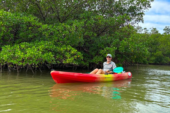 Self Guided EcoTour: Clear/Standard Kayaks -Bonita Springs - The 2-Hour Paddle Loop: How the Route Works Without Feeling Rushed