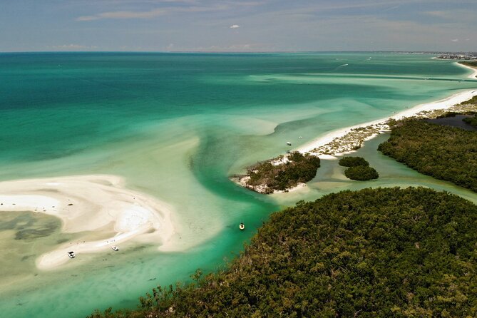 Self-Guided Island Tour: CLEAR/Standard Kayak, SUP-Bonita Springs - Mangrove tunnels and Estero Bay wildlife: how to set expectations