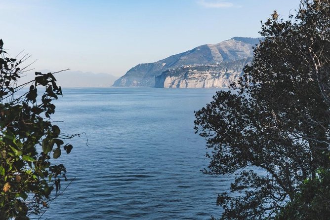 Shared Shuttle Service from Naples Central Station to Sorrento - Key Highlights You Should Know