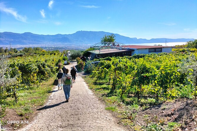 Shore excursion Naples city tour, Pompeii & Winery Cantina del Vesuvio - Guide Quality: When Local Names Show Up, the Day Runs Smoother